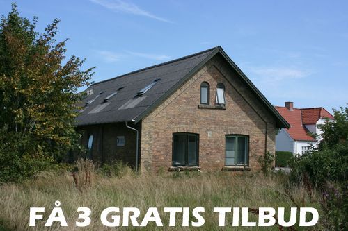 Tilbud træfældning Kokkedal