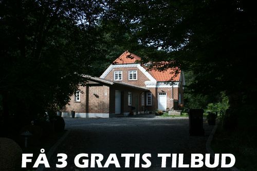 Tilbud træfældning Vejle