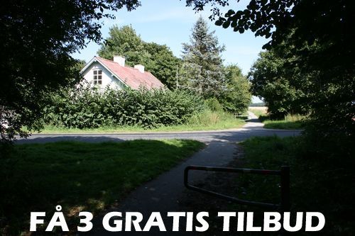 Tilbud træfældning Fyn