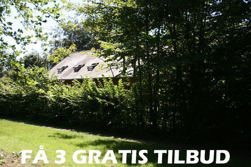 3 tilbud træfældning Nørresundby: Det er forholdsvis enkelt, at få en god besparelse 3 tilbud træfældning Nørresundby: Her er træfælderspecialisttjenesten, man snakker om