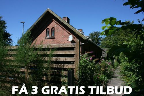Tilbud træfældning Borup