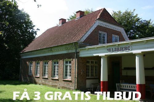 3 tilbud træfældning Kalundborg: Bliv ikke snydt på prisen