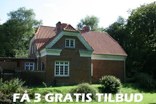 3 tilbud træfældning Viborg: Her finder du den stærkeste pris på kortest tid