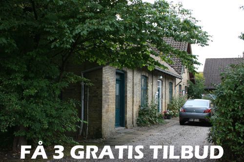 3 tilbud træfældning: Skal du bruge en ? Det finder vi en løsning på! 3 tilbud træfældning: I 2025: Gratis tilbud!