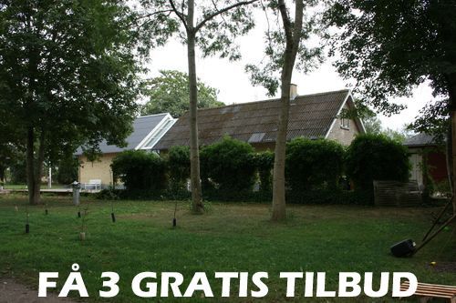 Tilbud træfældning Falster