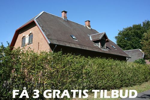 Tilbud træfældning Randers