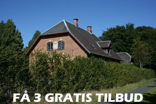 Tilbud træfældning Brande