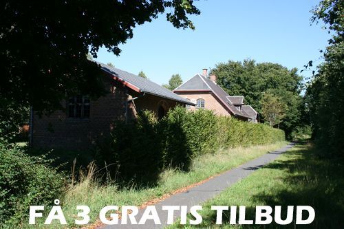 Tilbud træfældning Amager