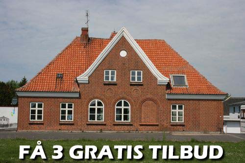 3 tilbud træfældning Grenaa: Overlad det hårde arbejde til os